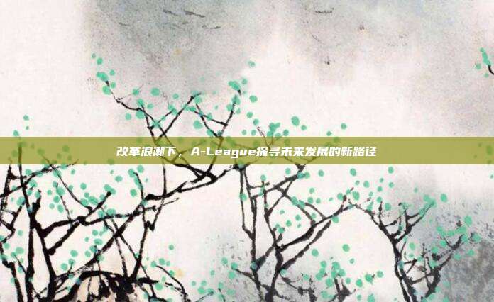 改革浪潮下，A-League探寻未来发展的新路径