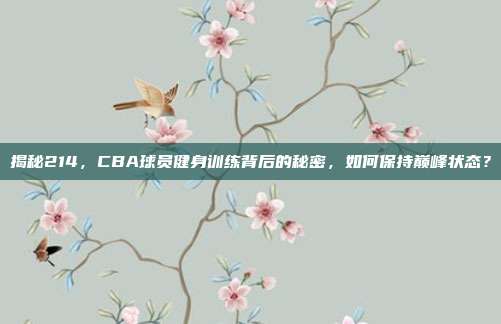 揭秘214，CBA球员健身训练背后的秘密，如何保持巅峰状态？