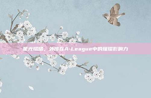 星光熠熠，外援在A-League中的璀璨影响力