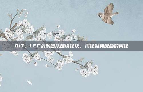 817，LEC战队团队建设秘诀，揭秘默契配合的奥秘