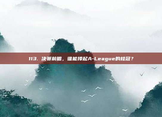 113. 决赛前瞻，谁能捧起A-League的桂冠？