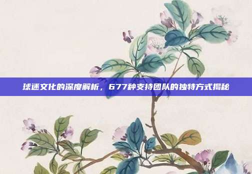 球迷文化的深度解析，677种支持团队的独特方式揭秘