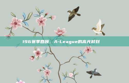 196赛季回顾，A-League的高光时刻🌟