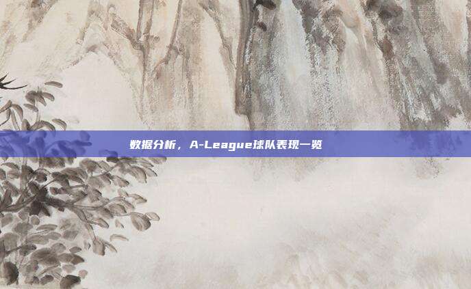 数据分析，A-League球队表现一览📊